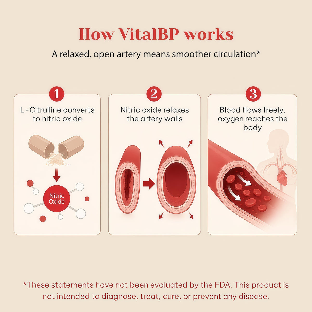 VitalBP Blood Pressure, Blood Flow & Artery Support, CoQ10, K2 & D3, 60Caps